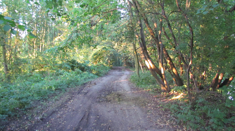 Bohumin