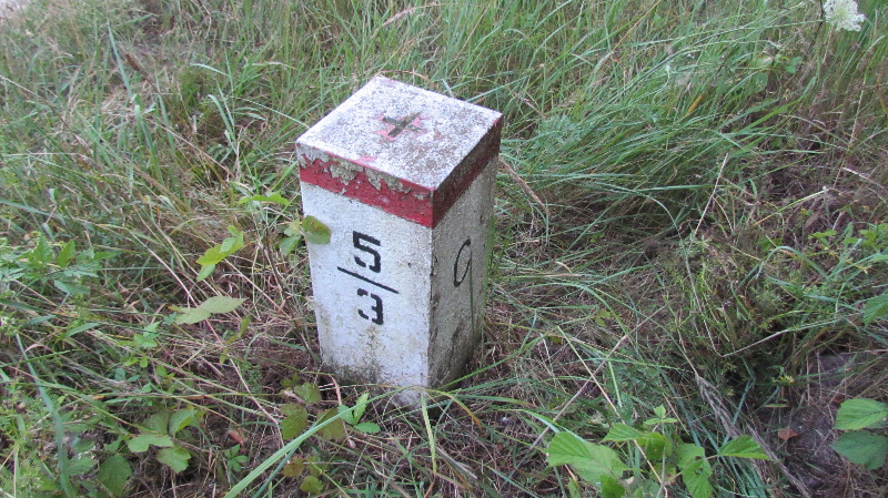 Šunychl