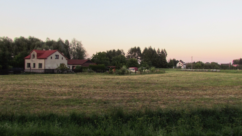 Šunychl