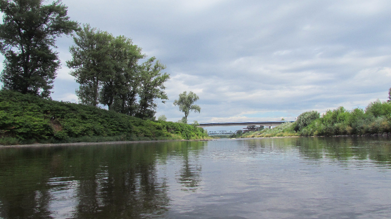 Odra