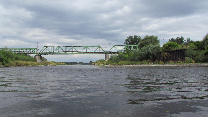 Odra