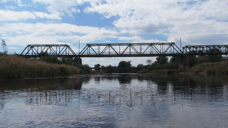 Odra