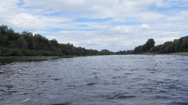 Odra