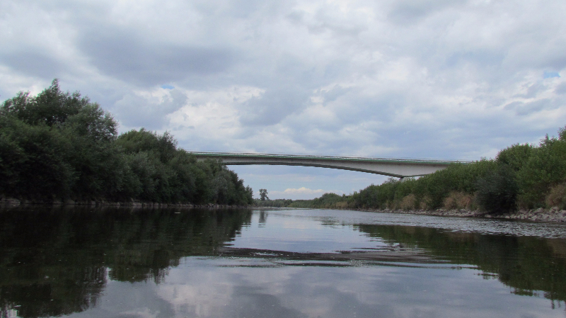 Odra