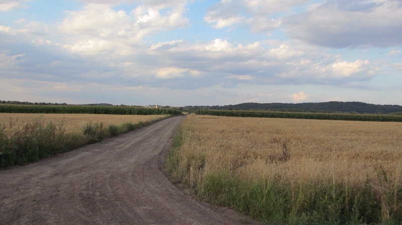 Nieboczowy