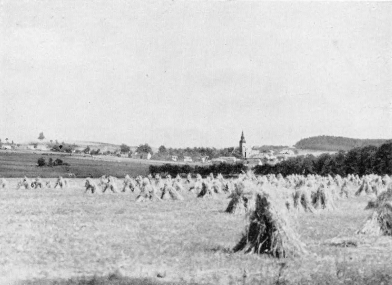 Racibórz