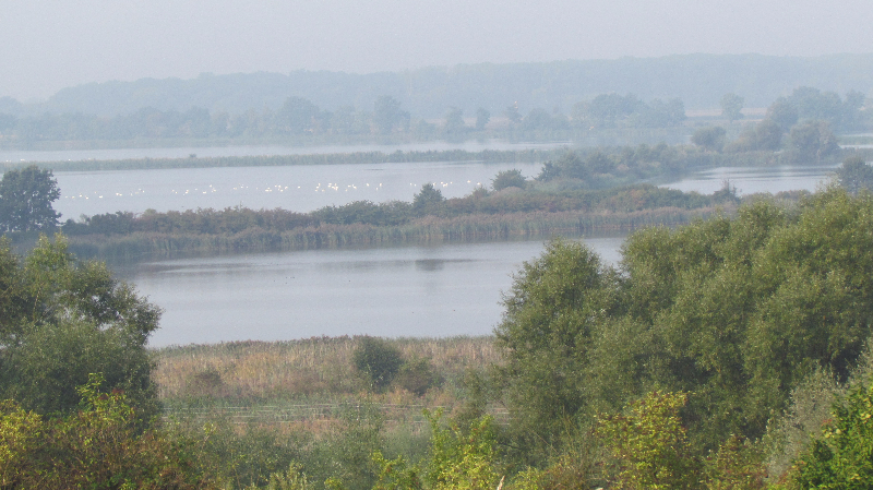 Kopytov