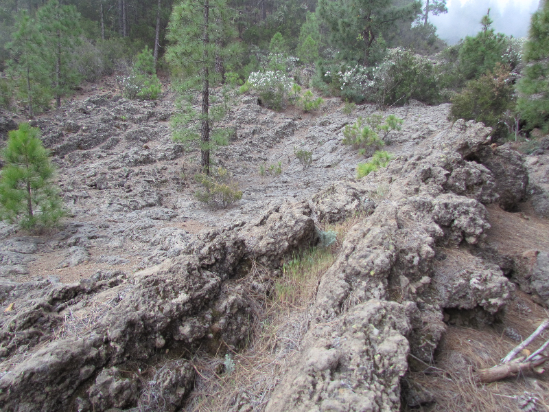 Teneryfa