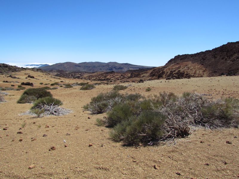 Teneryfa